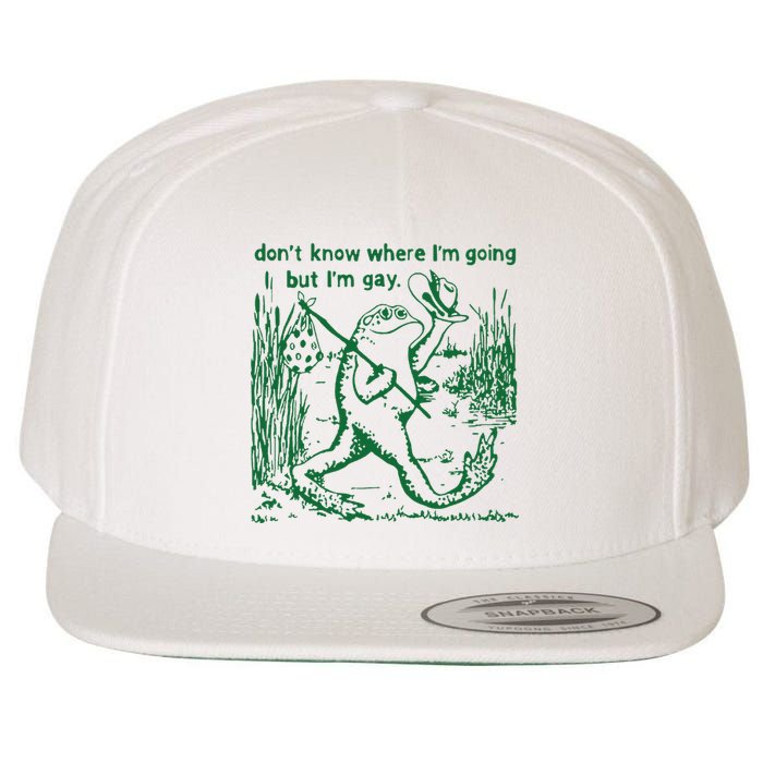 Gay Frog Funny I DonT Know Where IM Going But IM Gay Wool Snapback Cap