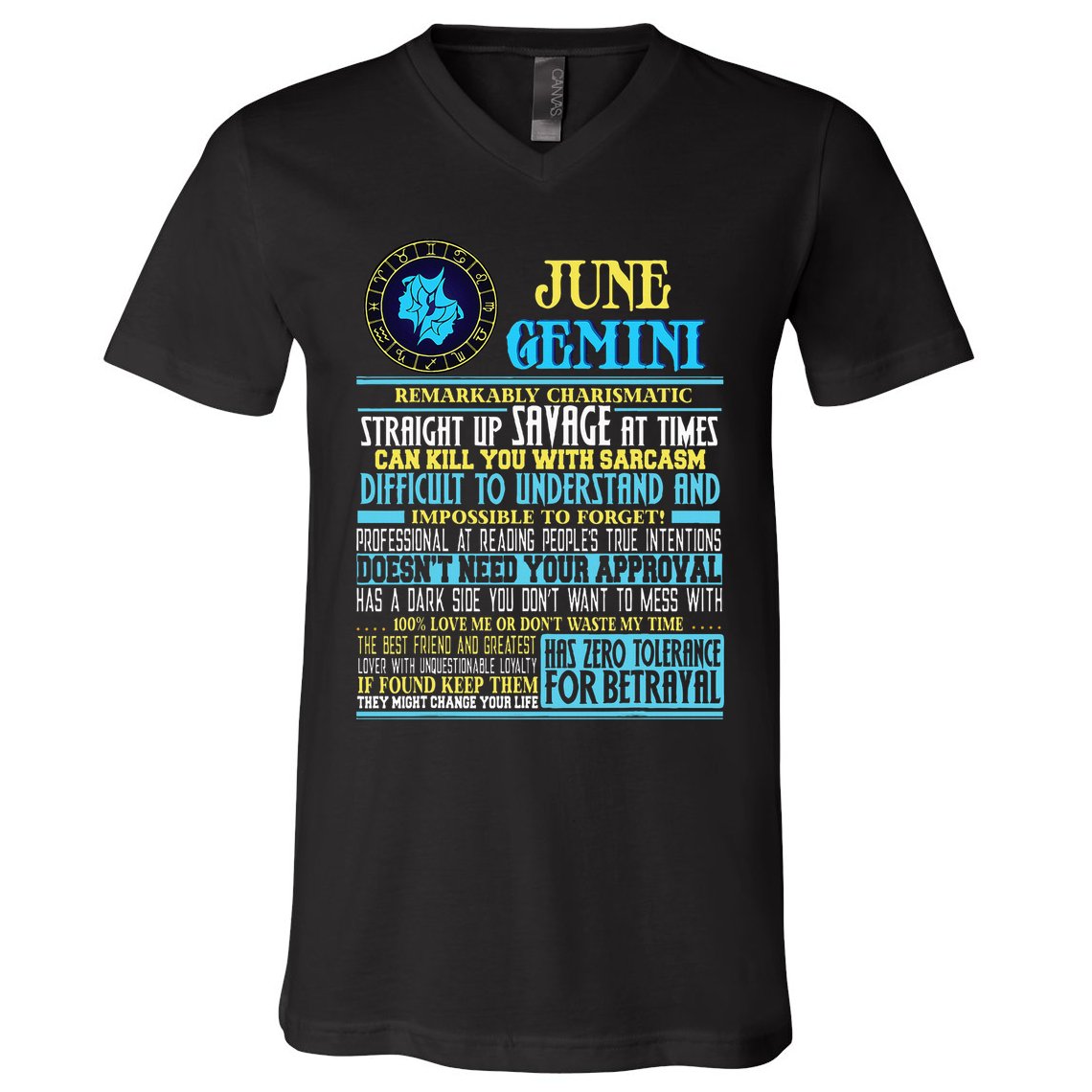 Gemini Facts Funny June Gemini Birthday Gif V-Neck T-Shirt