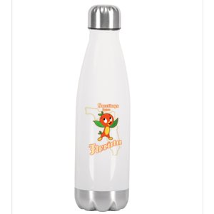 Greetings From Florida Stainless Steel Insulated Water Bottle