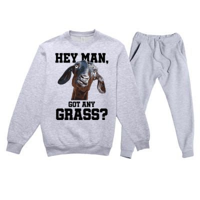 Goat For Goat Lovers Farm Apparel Meme Pun Premium Crewneck Sweatsuit Set