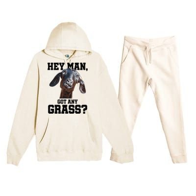 Goat For Goat Lovers Farm Apparel Meme Pun Premium Hooded Sweatsuit Set