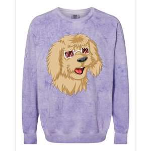 Goldendoodle Face Colorblast Crewneck Sweatshirt