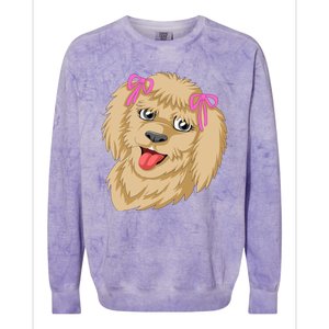 Goldendoodle Face Colorblast Crewneck Sweatshirt