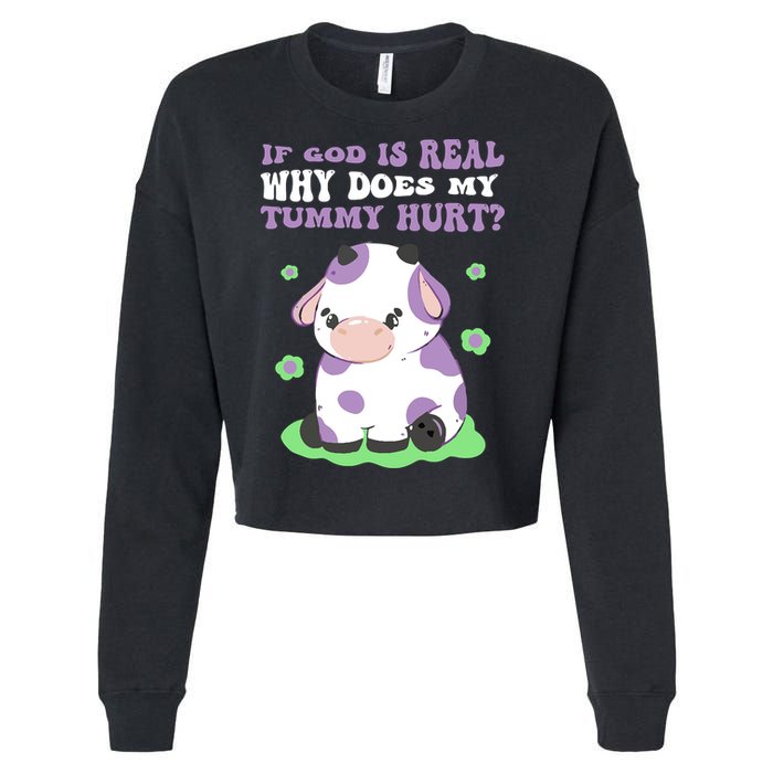God Funny If God Is Real Why Does My Tummy Hurt, Sad Cow Cropped Pullover Crew