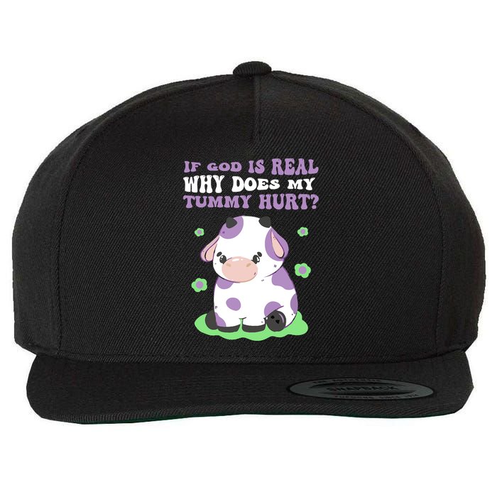 God Funny If God Is Real Why Does My Tummy Hurt, Sad Cow Wool Snapback Cap