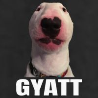 Gyatt Funny Meme Damn Trend Reaction Cringe Gyatt Cool Comfort Performance Bucket Hat