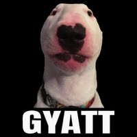 Gyatt Funny Meme Damn Trend Reaction Cringe Gyatt 16 in Basic Backpack