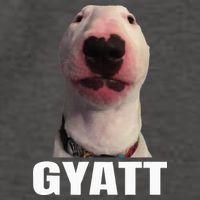 Gyatt Funny Meme Damn Trend Reaction Cringe Gyatt Vector Backpack
