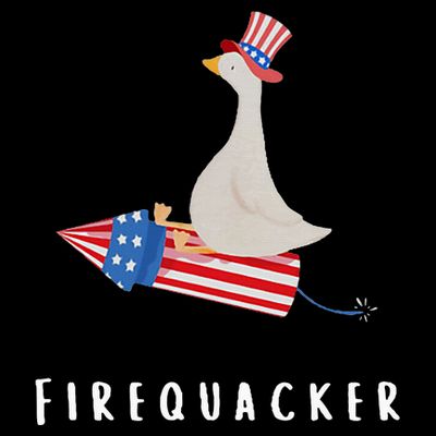 Goose Fourth Of July Firequacker Independence Day T-Shirt