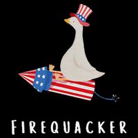 Goose Fourth Of July Firequacker Independence Day Womens T-Shirt