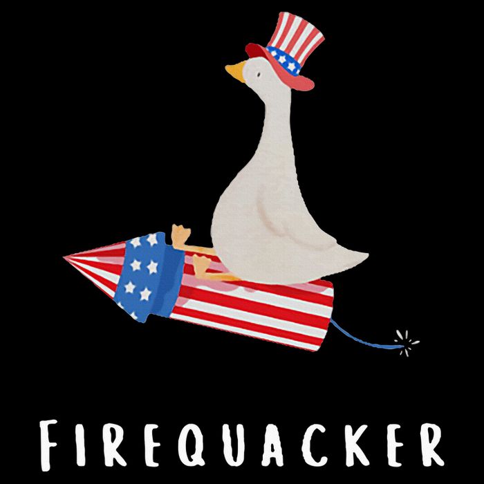 Goose Fourth Of July Firequacker Independence Day Womens T-Shirt