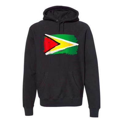 Guyana Flag Paint Style Premium Hoodie