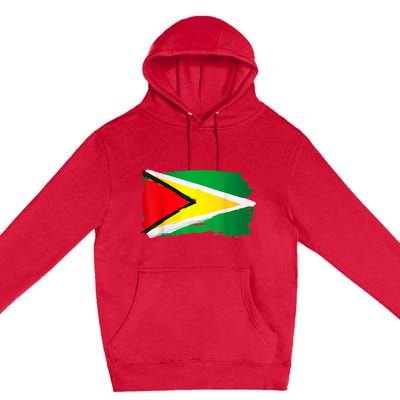 Guyana Flag Paint Style Premium Pullover Hoodie