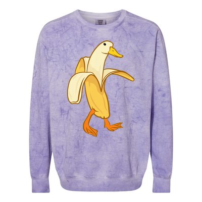 Goose Funny Pictures Goose My Humor Goose Banana Goose Colorblast Crewneck Sweatshirt