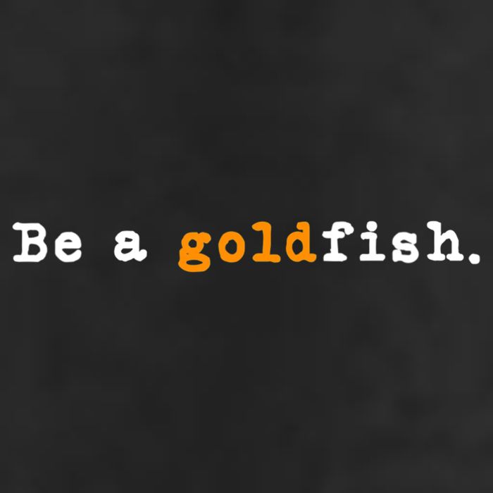 Goldfish Funny Quotes Be A Goldfish 7 Panel Mesh Trucker Snapback Hat