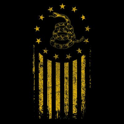 Gadsden Flag Snake Betsy Ross Flag 13 Colonies Vintage T-Shirt