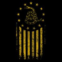 Gadsden Flag Snake Betsy Ross Flag 13 Colonies Vintage Kids Hoodie