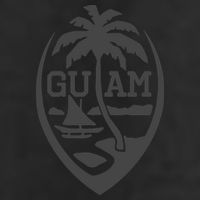 Guam Flag Seal | USA Guamanian Chamorro Gifts Hoodie 11oz C Handle Ceramic Mug