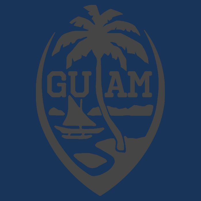 Guam Flag Seal | USA Guamanian Chamorro Gifts Hoodie Drawstring Bag