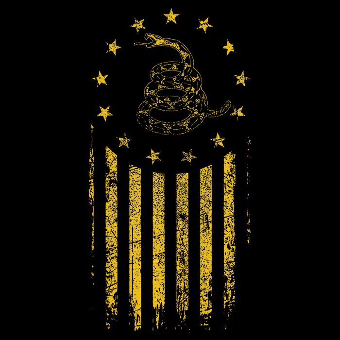 Gadsden Flag Snake Betsy Ross Flag 13 Colonies Vintage Apron