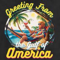 Greeting From The Gulf Of Usa America Trump Beanie