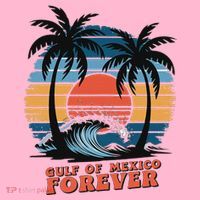 Greeting From The Gulf Beach Of Mexico T-Shirt