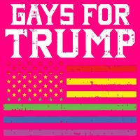 Gays For Trump Usa Flag Pro Reelect Donald 2020 Lgpt Gift Zip Tote Bag