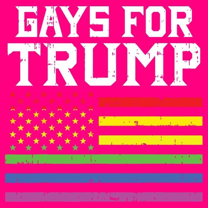 Gays For Trump Usa Flag Pro Reelect Donald 2020 Lgpt Gift Zip Tote Bag