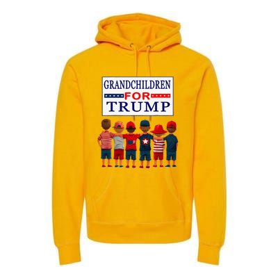 Grandchildren For Trump Vote For Grandpa Premium Hoodie