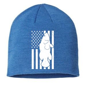 Grouper Fishing USA Flag Sustainable Beanie