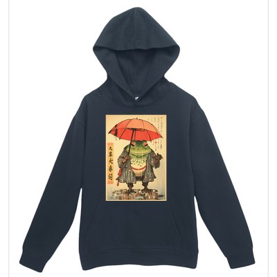 Grumpy Frog Unimpressed Toad Vintage Japanese Aesthetic Urban Pullover Hoodie