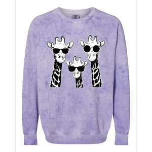 Giraffes family with sunglasses - Giraffe Colorblast Crewneck Sweatshirt