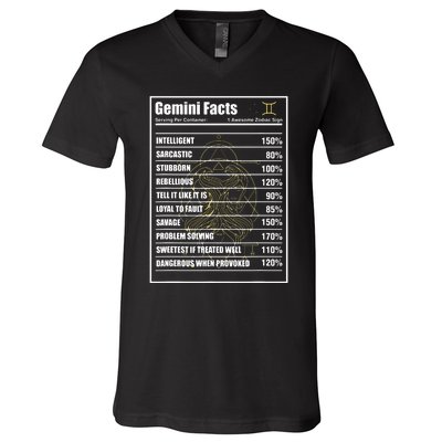 Gemini Facts Zodiac Sign V-Neck T-Shirt