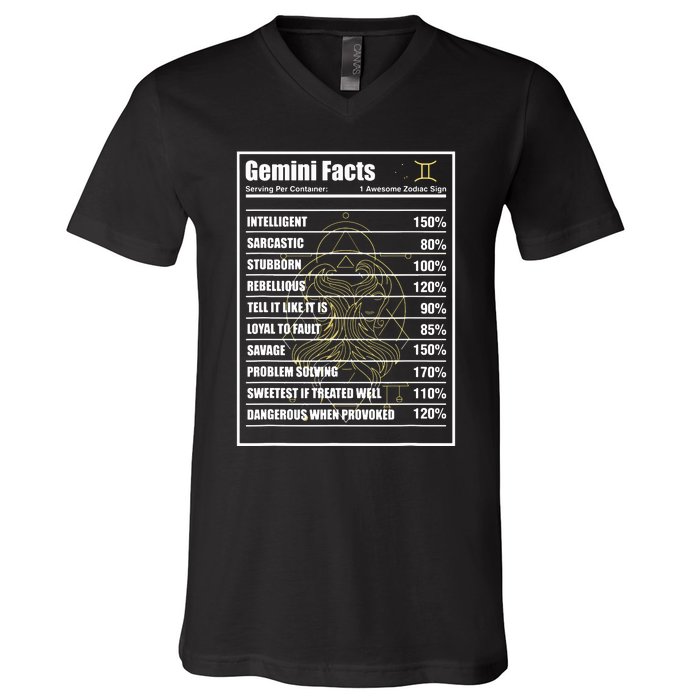 Gemini Facts Zodiac Sign V-Neck T-Shirt