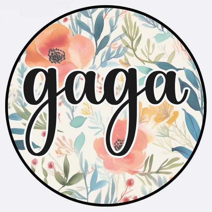 Gaga Adult Drive Performance Visor