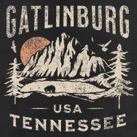 Gatlinburg 7 Panel Mesh Trucker Snapback Hat