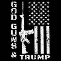 God Guns And Trump 2nd Amendment Flag AR15 City Backpack