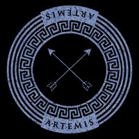 Greek Goddess Artemis Arrows God Hunt Mythology Tall T-Shirt