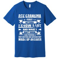 Grandma Gift Ask Her Anything Gift Funny Birthday Mothers Day Gift Premium T-Shirt