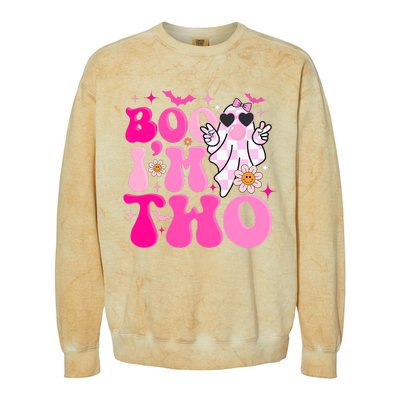 Groovy Ghost Boo IM Two Yr 2nd Birthday Halloween Colorblast Crewneck Sweatshirt