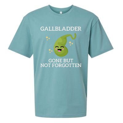 Gallbladder Gone But Not Forgotten Gallbladder Sueded Cloud Jersey T-Shirt