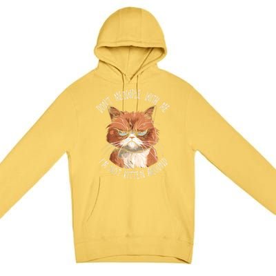 Grumpy Ginger Cat DonT Meowdl With Me IM Not Kitten Around Premium Pullover Hoodie