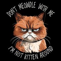 Grumpy Ginger Cat DonT Meowdl With Me IM Not Kitten Around Button