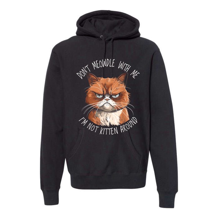 Grumpy Ginger Cat DonT Meowdl With Me IM Not Kitten Around Premium Hoodie