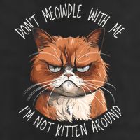 Grumpy Ginger Cat DonT Meowdl With Me IM Not Kitten Around Trucker Hat