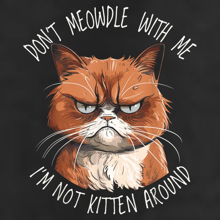 Grumpy Ginger Cat DonT Meowdl With Me IM Not Kitten Around Trucker Hat