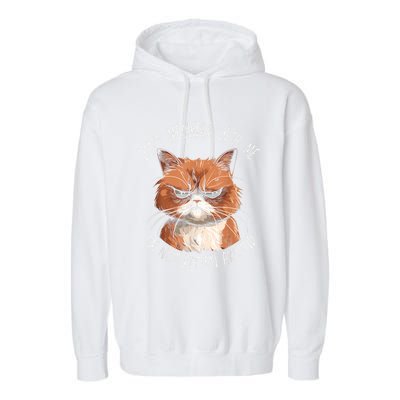 Grumpy Ginger Cat DonT Meowdl With Me IM Not Kitten Around Garment-Dyed Fleece Hoodie