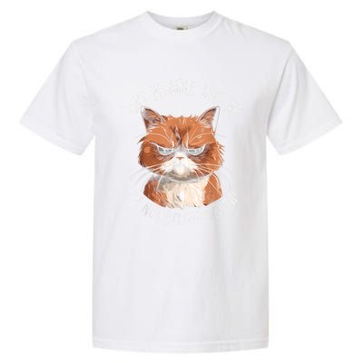 Grumpy Ginger Cat DonT Meowdl With Me IM Not Kitten Around Garment-Dyed Heavyweight T-Shirt