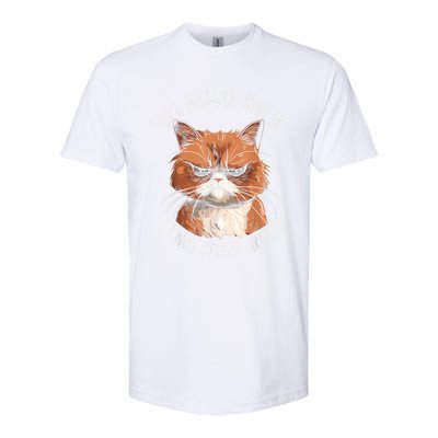 Grumpy Ginger Cat DonT Meowdl With Me IM Not Kitten Around Softstyle CVC T-Shirt