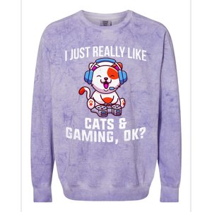 Gamer Gamer Cats And Gaming Cats And Gaming Gift Colorblast Crewneck Sweatshirt